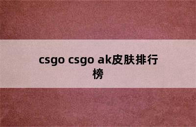 csgo csgo ak皮肤排行榜